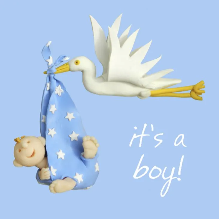 "It's a Boy!" Greeting Card from Holy Mackerel